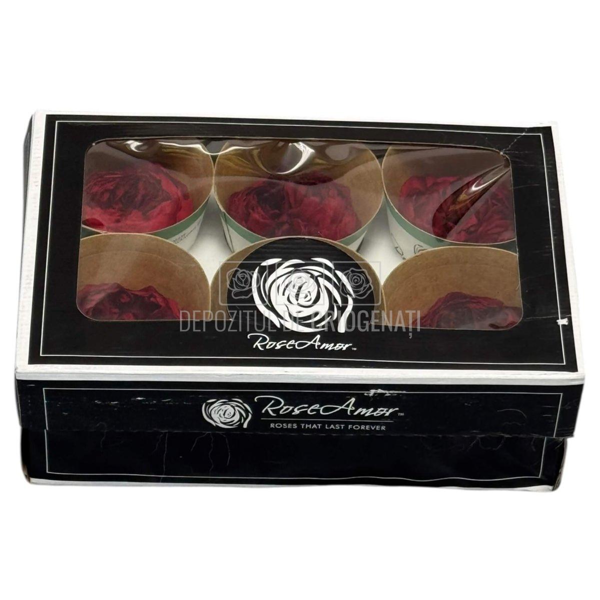 Trandafiri Criogenati NIKI RED - 01 - set 6 buc - Depozitul de Criogenati