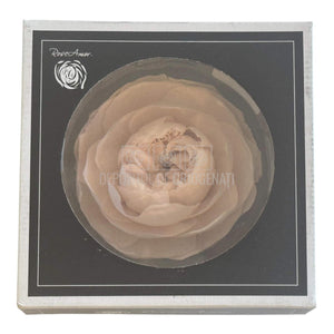 Trandafiri Criogenati NIKI XXL PIN - 79 (Ø9cm x H5,5cm) - Depozitul de Criogenati
