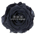Trandafiri Criogenati PREMIUM BLACK (dia. 7 - 8,5cm) - Depozitul de Criogenati