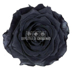Trandafiri Criogenati PREMIUM BLACK (dia. 7 - 8,5cm) - Depozitul de Criogenati