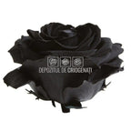 Trandafiri Criogenati PREMIUM BLACK (dia. 7 - 8,5cm) - Depozitul de Criogenati
