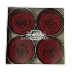 Trandafiri Criogenati PREMIUM BURGUNDY (dia. 7 - 8,5cm) - Depozitul de Criogenati