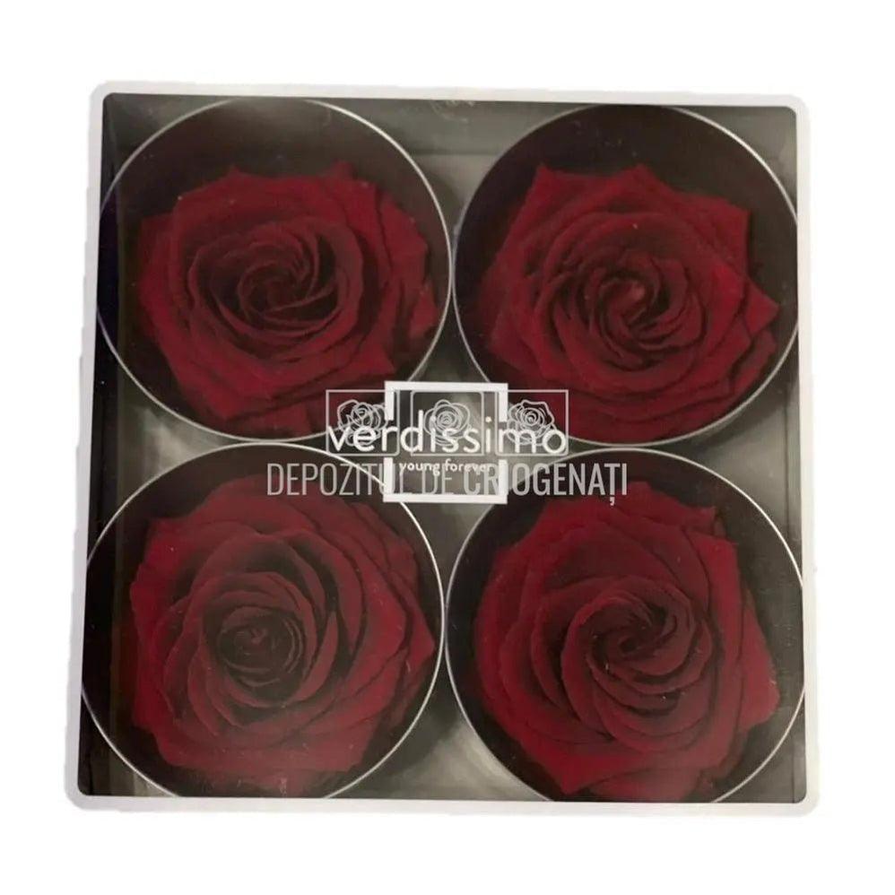 Trandafiri Criogenati PREMIUM BURGUNDY (dia. 7 - 8,5cm) - Depozitul de Criogenati