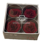Trandafiri Criogenati PREMIUM BURGUNDY (dia. 7 - 8,5cm) - Depozitul de Criogenati