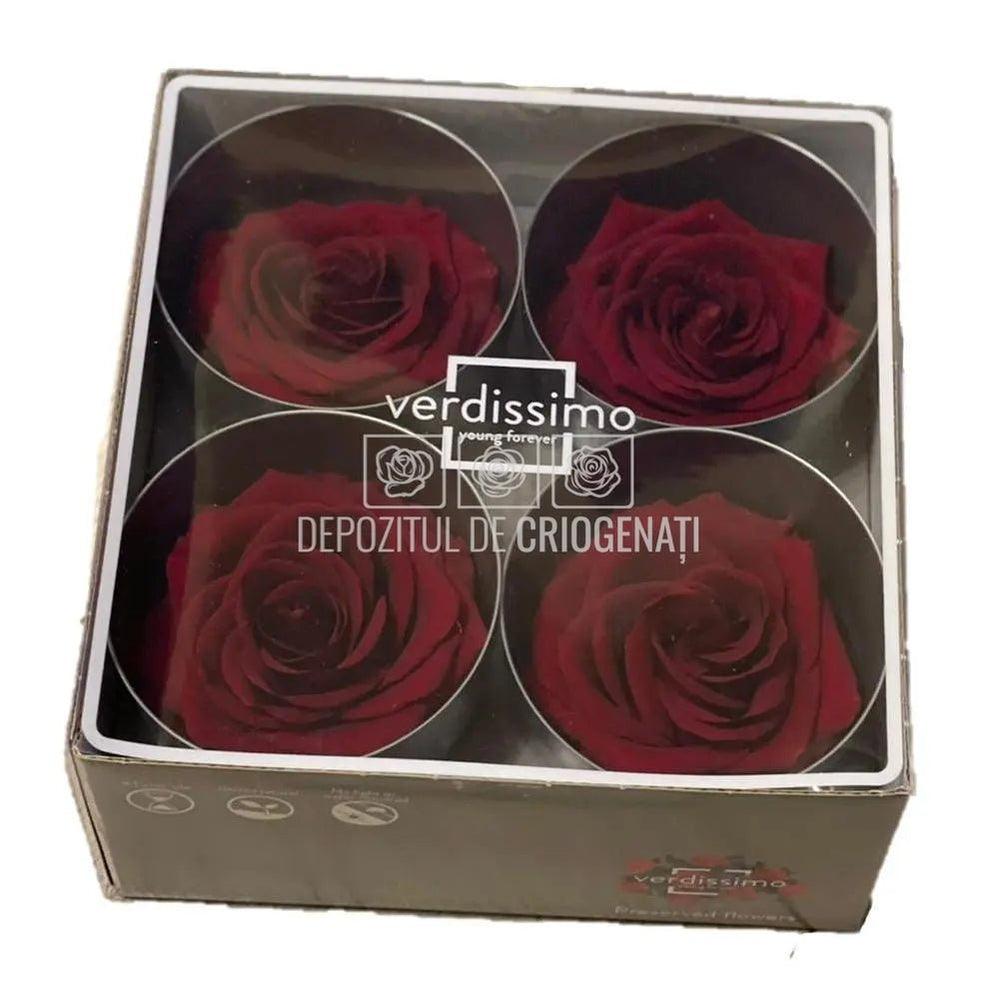 Trandafiri Criogenati PREMIUM BURGUNDY (dia. 7 - 8,5cm) - Depozitul de Criogenati