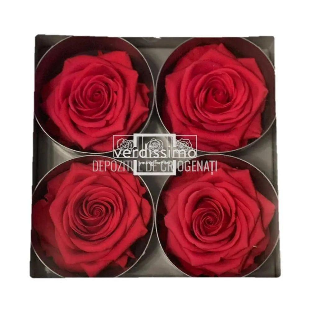 Trandafiri Criogenati PREMIUM DARK PINK (dia. 7 - 8,5cm) - Depozitul de Criogenati