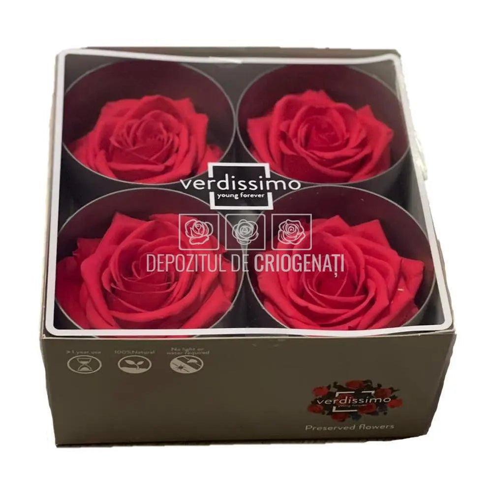 Trandafiri Criogenati PREMIUM DARK PINK (dia. 7 - 8,5cm) - Depozitul de Criogenati