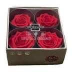 Trandafiri Criogenati PREMIUM DARK PINK (dia. 7 - 8,5cm) - Depozitul de Criogenati