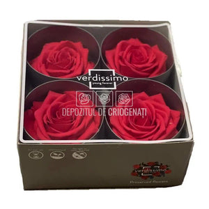 Trandafiri Criogenati PREMIUM DARK PINK (Ø7-8,5cm; 4 buc /cutie) - DepozituldeCriogenati.ro