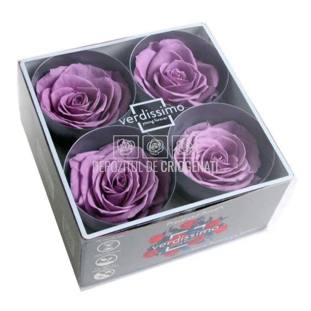 Trandafiri Criogenati PREMIUM LILA (Ø7-8,5cm; set 4 buc /cutie) - DepozituldeCriogenati.ro