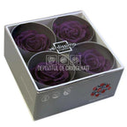 Trandafiri Criogenati PREMIUM PURPLE (dia. 7 - 8,5cm) - Depozitul de Criogenati
