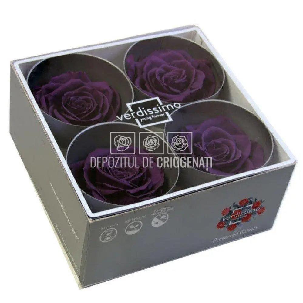 Trandafiri Criogenati PREMIUM PURPLE (Ø7-8,5cm; set 4 buc /cutie) - DepozituldeCriogenati.ro