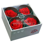 Trandafiri Criogenati PREMIUM RED (dia. 7 - 8,5cm) - Depozitul de Criogenati