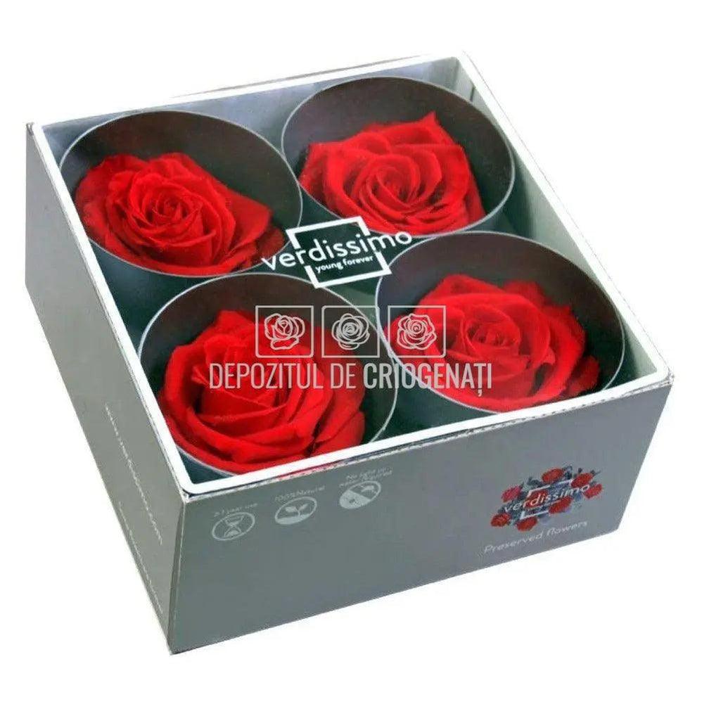 Trandafiri Criogenati PREMIUM RED (dia. 7 - 8,5cm) - Depozitul de Criogenati