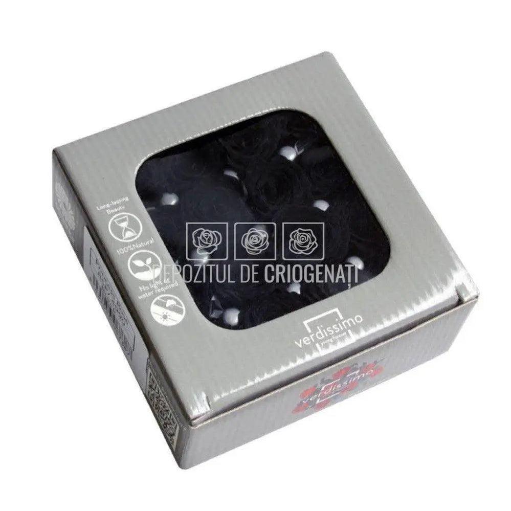 Trandafiri Criogenati PRINCESS BLACK (Ø2,5-3cm, set 16 buc /cutie) - DepozituldeCriogenati.ro