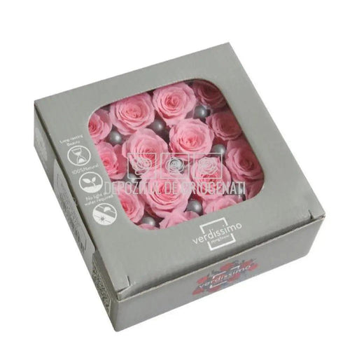 Trandafiri Criogenati PRINCESS PINK (dia. 2,5 - 3cm) - Depozitul de Criogenati