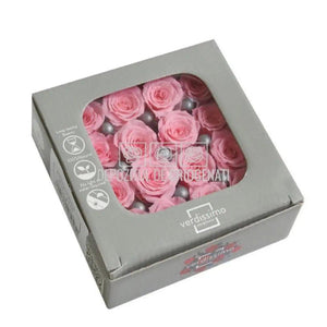 Trandafiri Criogenati PRINCESS PINK (dia. 2,5-3cm, set 16 buc /cutie)