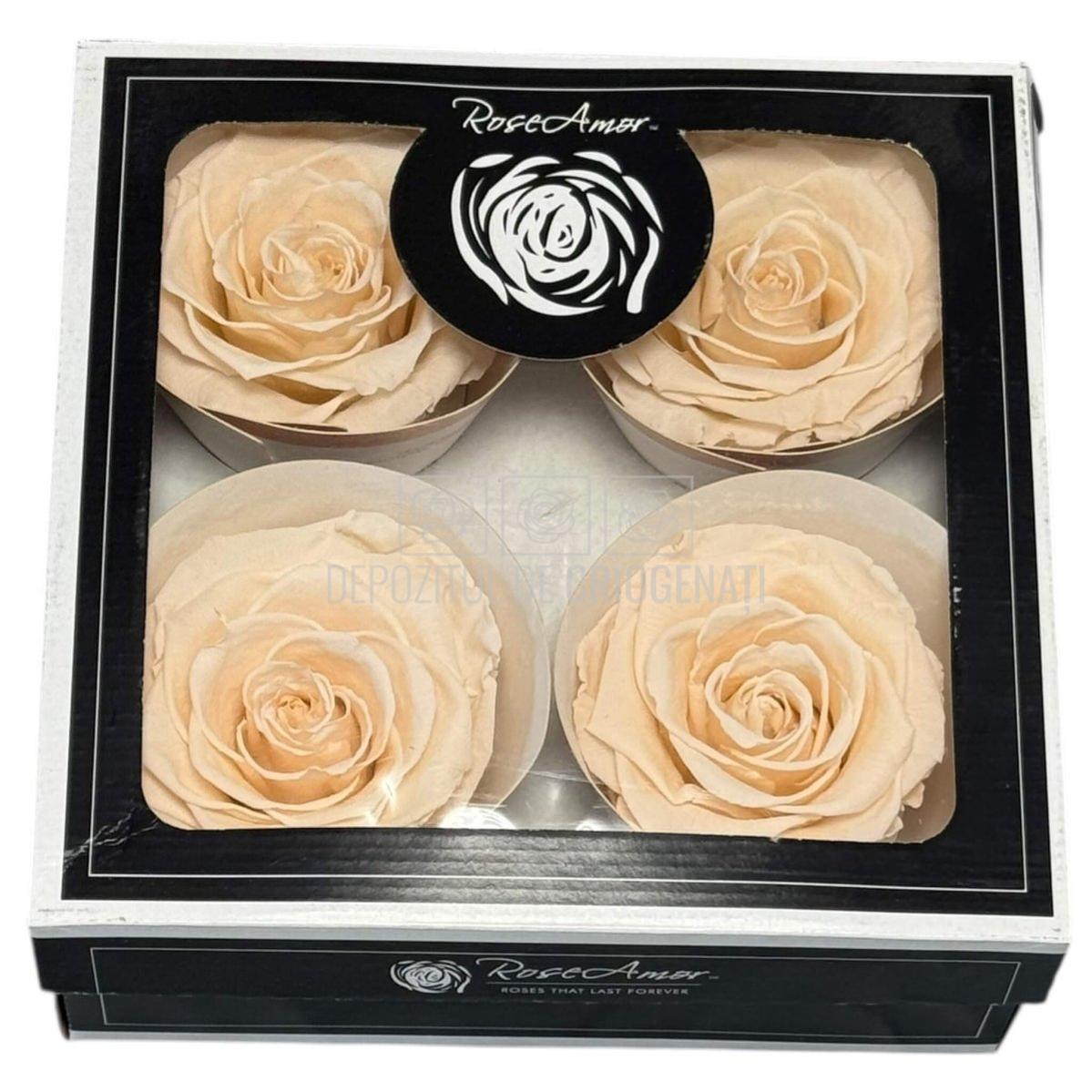 Trandafiri Criogenati RoseAmor BELLA PEA - 89 Set 4 Buc - Depozitul de Criogenati