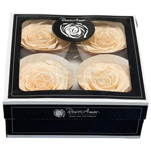 Trandafiri Criogenati RoseAmor BELLA PEA - 89 Set 4 Buc - Depozitul de Criogenati