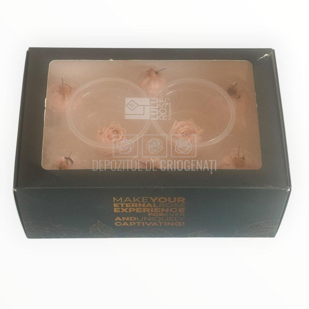 Trandafiri Criogenati roz deschis Lulu SPRAY FASCINATING PORCELAIN - Depozitul de Criogenati