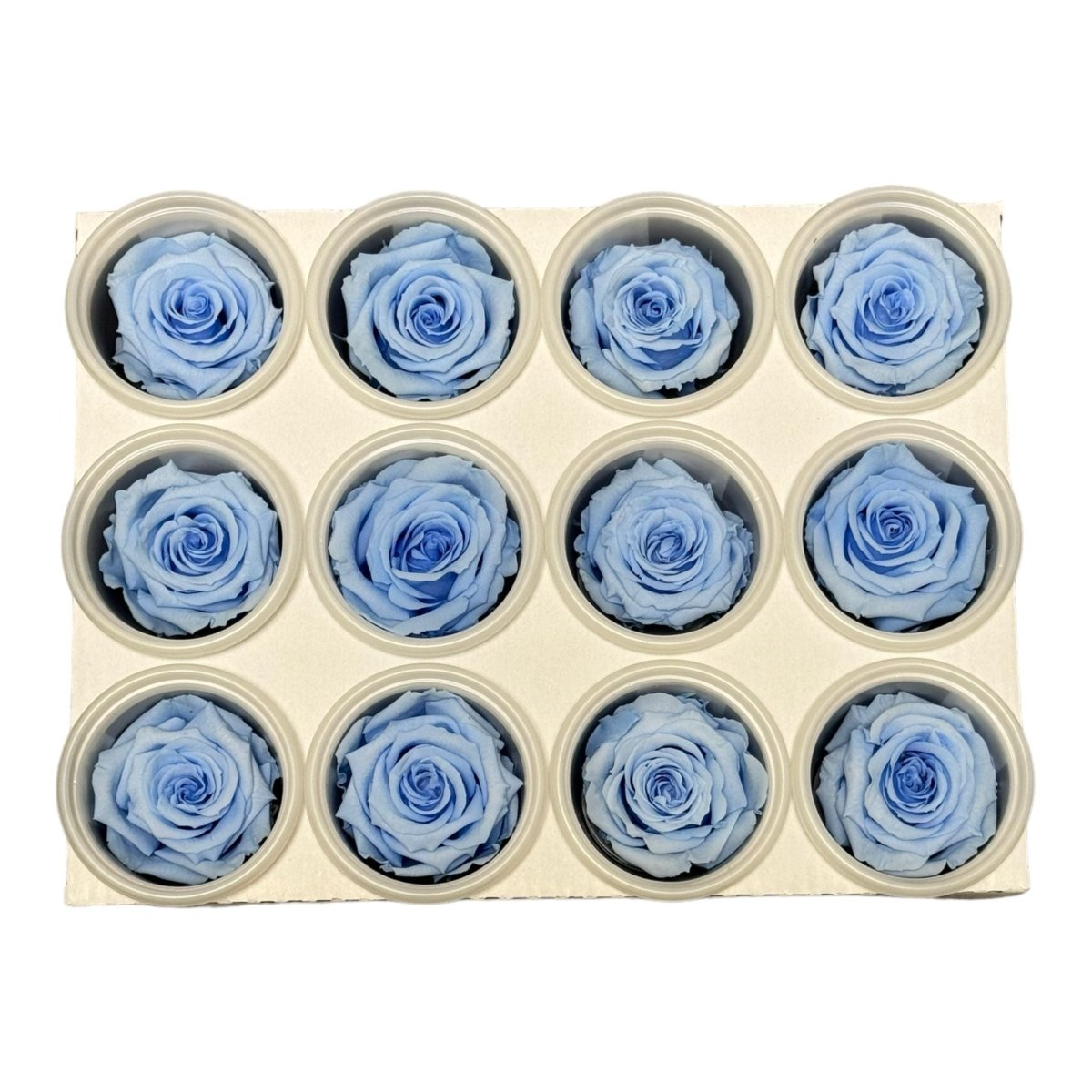Trandafiri Criogenati S BLU-89 (dia. 3-4cm, set 12 buc /cutie) - DepozituldeCriogenati.ro