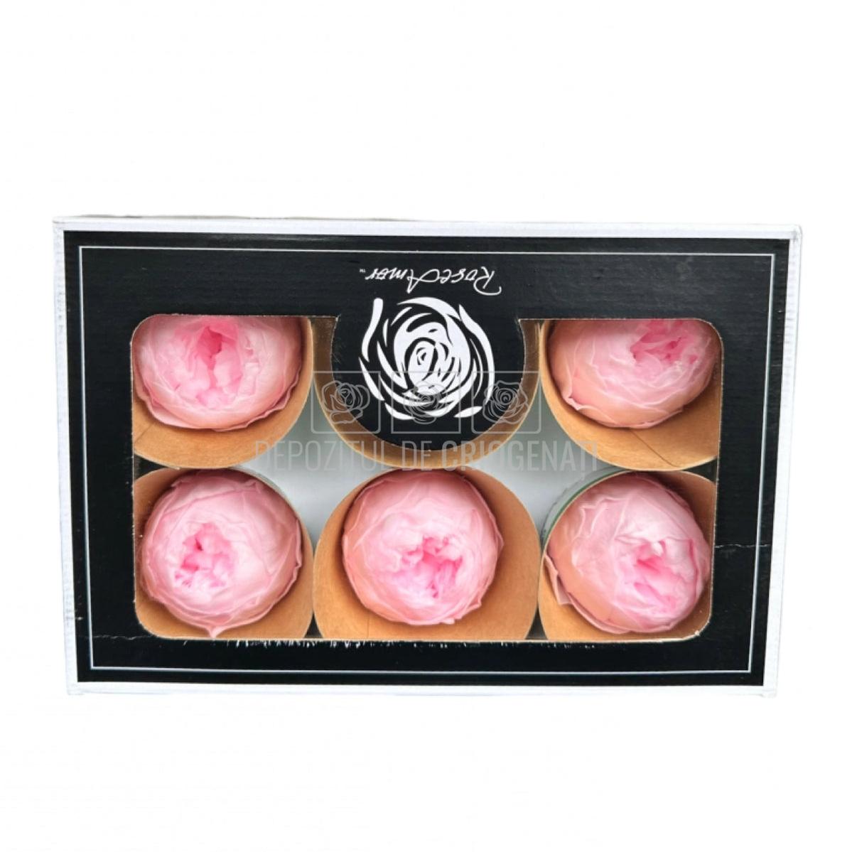 Trandafiri Criogenati set 6 buc - NIKI PIN - 99 - Depozitul de Criogenati