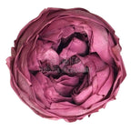 Trandafiri Criogenati Violet NIKI VIO - 02 (Ø5cm x H4cm) - Depozitul de Criogenati