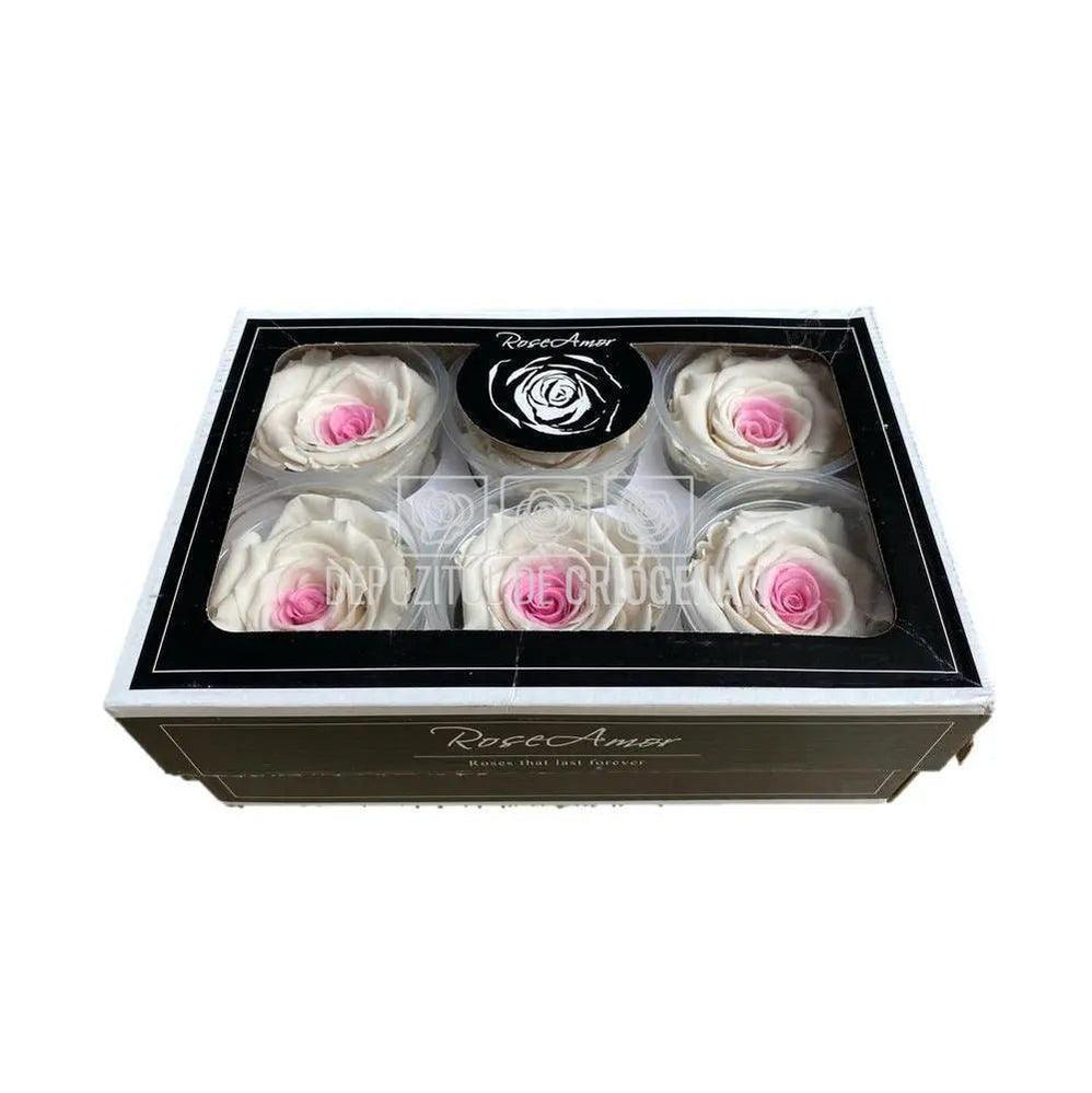 Trandafiri Criogenati XL BIC-14 (Ø6-6,5cm, set 6 buc /cutie) - DepozituldeCriogenati.ro