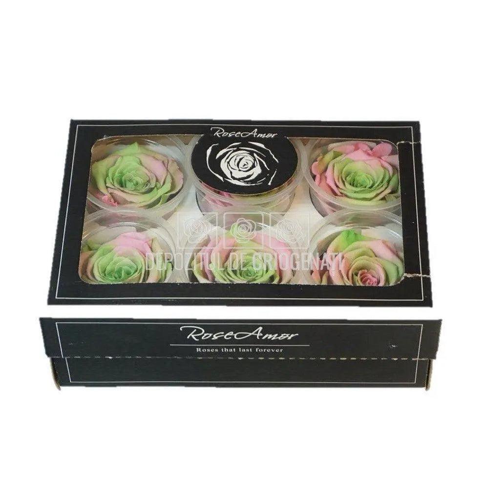Trandafiri Criogenati XL BIC-26 (Ø6-6,5cm, set 6 buc /cutie) - DepozituldeCriogenati.ro