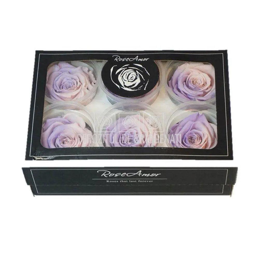 Trandafiri Criogenati XL BIC-27 (Ø6-6,5cm, set 6 buc /cutie) - DepozituldeCriogenati.ro