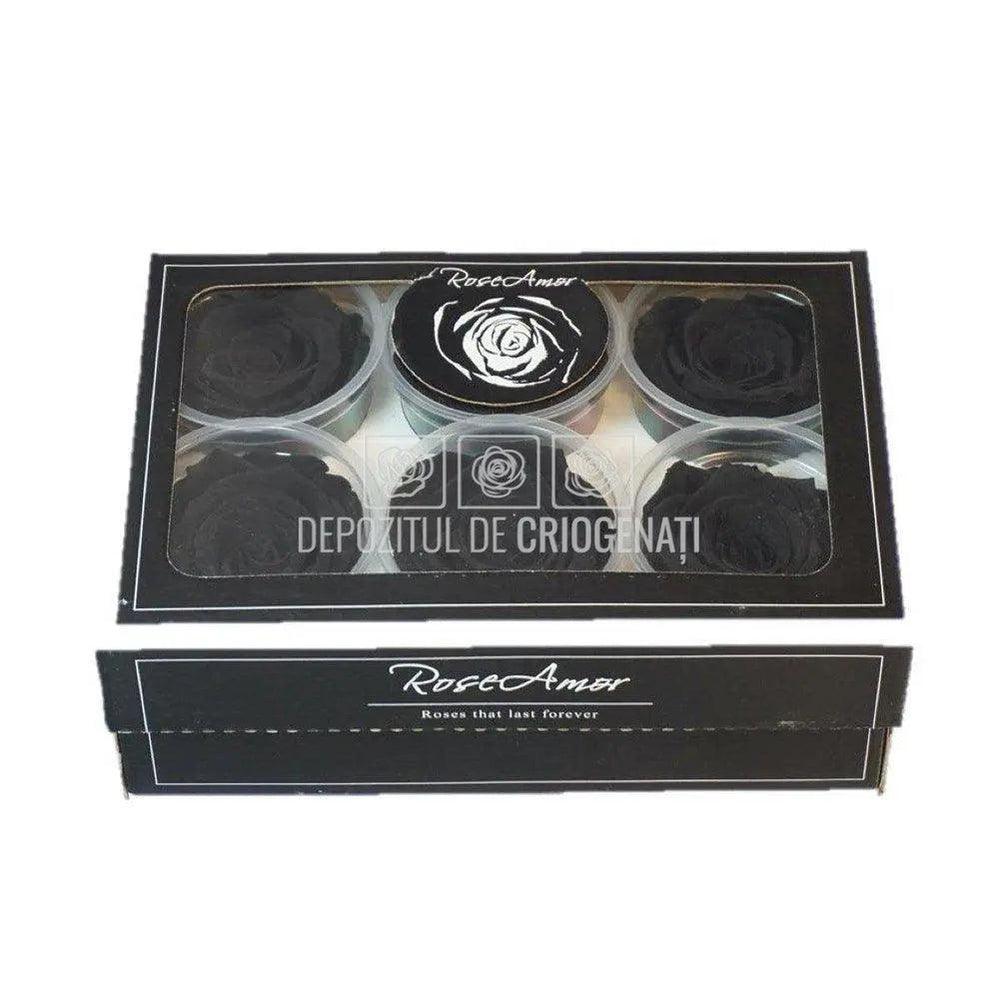 Trandafiri Criogenati XL BLA-01 (Ø6-6,5cm, set 6 buc /cutie) - DepozituldeCriogenati.ro