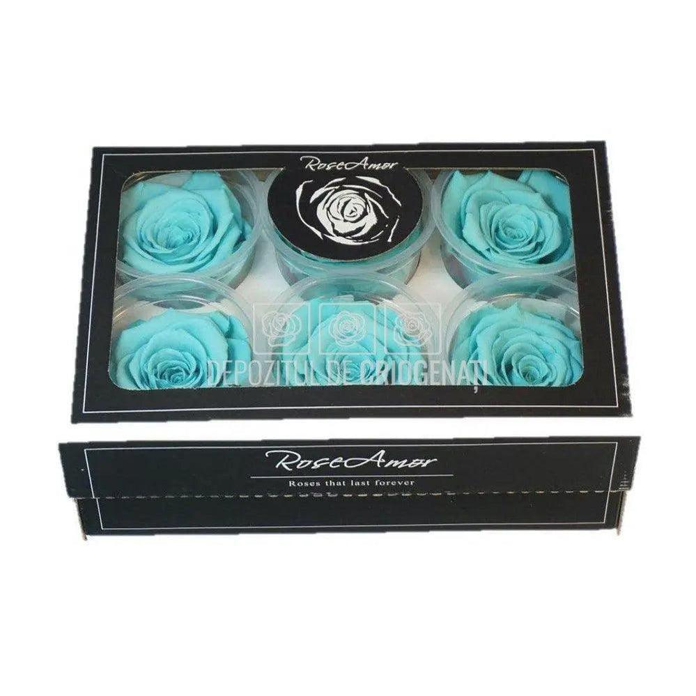 Trandafiri Criogenati XL BLU-02 (Ø6-6,5cm, set 6 buc /cutie) - DepozituldeCriogenati.ro
