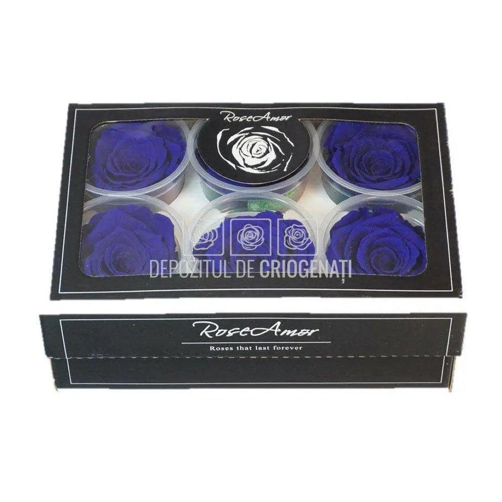 Trandafiri Criogenati XL BLU-03 (Ø6-6,5cm, set 6 buc /cutie) - DepozituldeCriogenati.ro