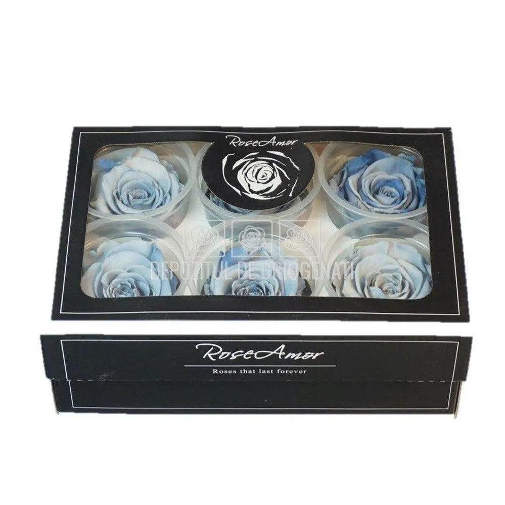 Trandafiri Criogenati XL BLU-05 (Ø6-6,5cm, set 6 buc /cutie) - DepozituldeCriogenati.ro
