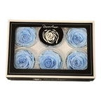Trandafiri Criogenati XL BLU - 89 (dia. 6 - 6,5cm, set 6 buc /cutie) - DepozituldeCriogenati.ro