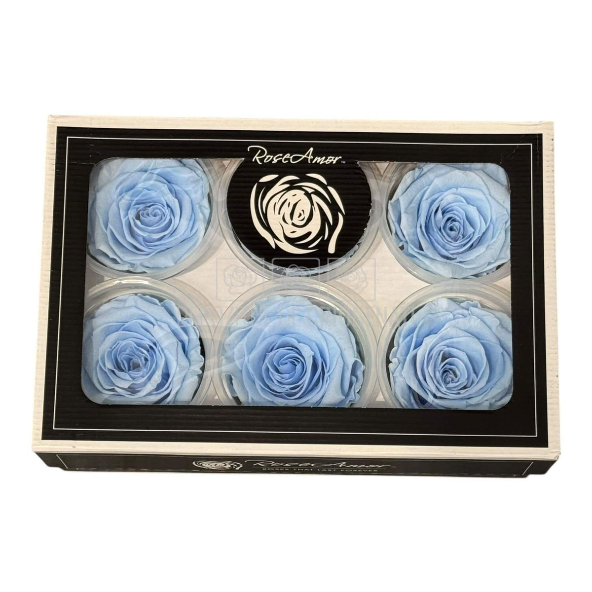 Trandafiri Criogenati XL BLU - 89 (dia. 6 - 6,5cm, set 6 buc /cutie) - DepozituldeCriogenati.ro