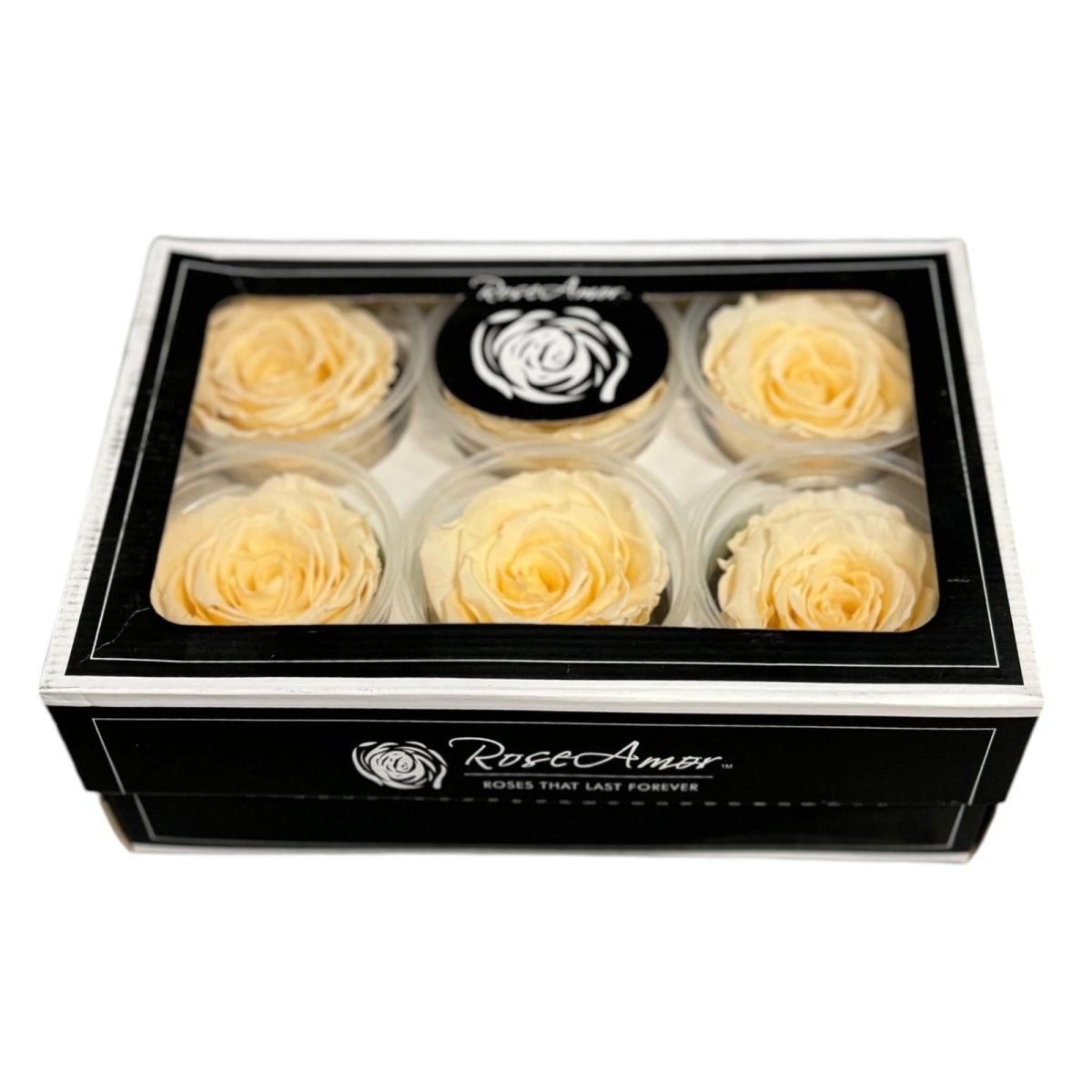 Trandafiri Criogenati XL CHA - 99 (dia. 6 - 6,5cm, set 6 buc /cutie) - DepozituldeCriogenati.ro