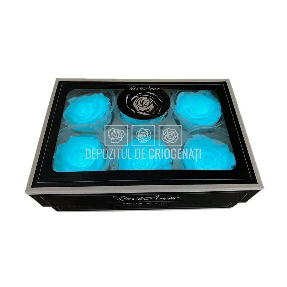 Trandafiri Criogenati XL GLOW BLUE (Ø6-6,5cm, set 6 buc /cutie) - DepozituldeCriogenati.ro