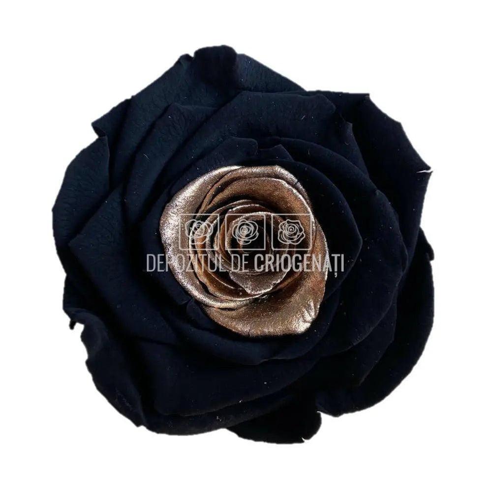 Trandafiri Criogenati XL GOLD TEAR (Ø6-6,5cm, set 6 buc /cutie) - DepozituldeCriogenati.ro