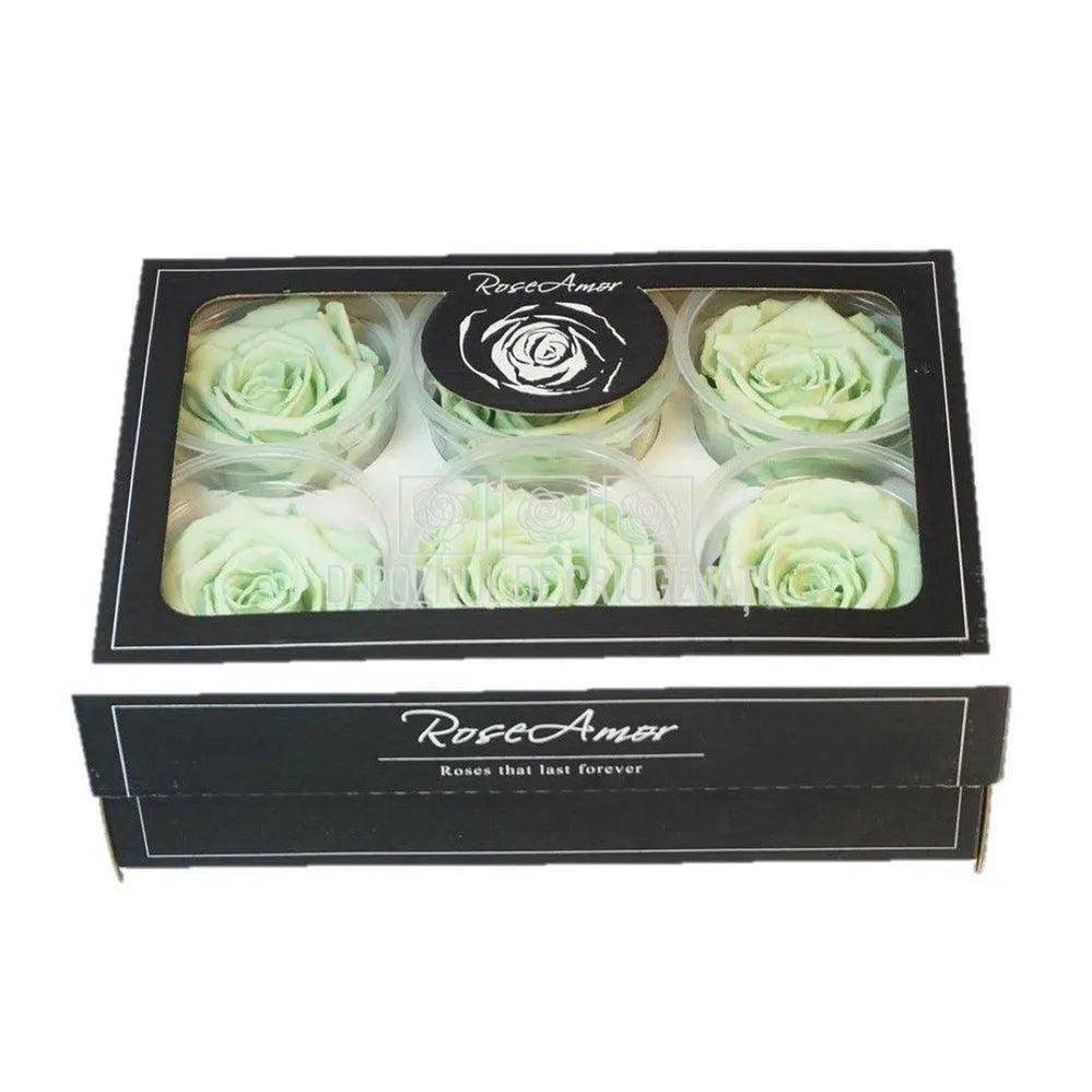 Trandafiri Criogenati XL GRE-04 (Ø6-6,5cm, set 6 buc /cutie) - DepozituldeCriogenati.ro