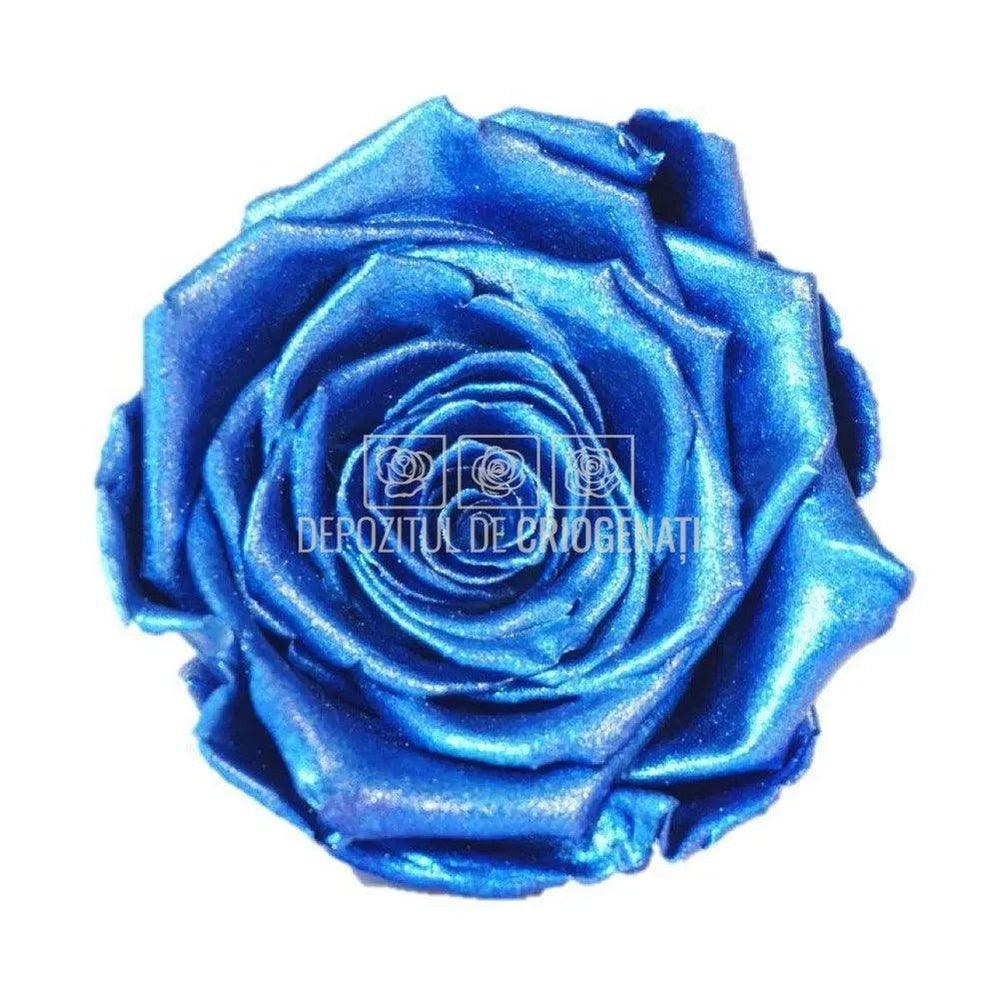 Trandafiri Criogenati XL METALLIC DEEP BLUE (dia. 6 - 6,5cm) - Depozitul de Criogenati