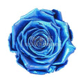 Trandafiri Criogenati XL METALLIC DEEP BLUE (dia. 6 - 6,5cm) - Depozitul de Criogenati