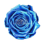 Trandafiri Criogenati XL METALLIC DEEP BLUE (dia. 6 - 6,5cm) - Depozitul de Criogenati