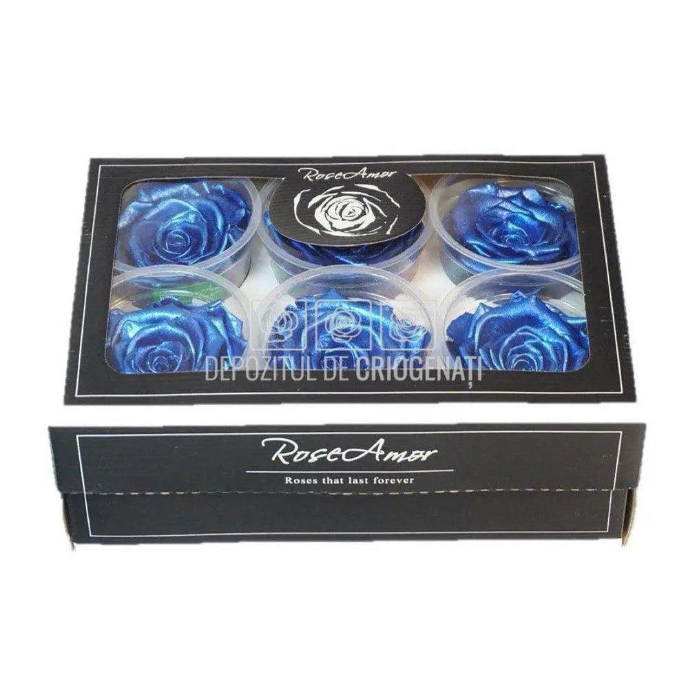 Trandafiri Criogenati XL METALLIC DEEP BLUE (Ø6-6,5cm, 6 buc) - DepozituldeCriogenati.ro