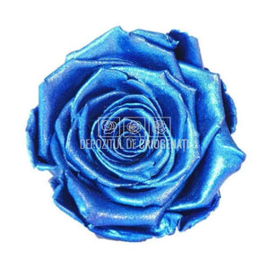 Trandafiri Criogenati XL METALLIC DEEP BLUE (Ø6-6,5cm, 6 buc) - DepozituldeCriogenati.ro