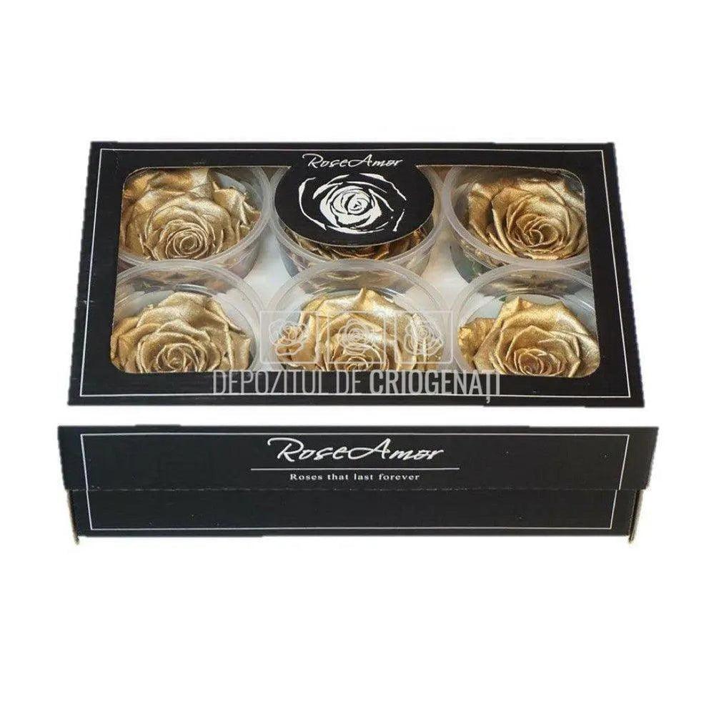 Trandafiri Criogenati XL METALLIC GOLD (dia. 6 - 6,5cm) - Depozitul de Criogenati