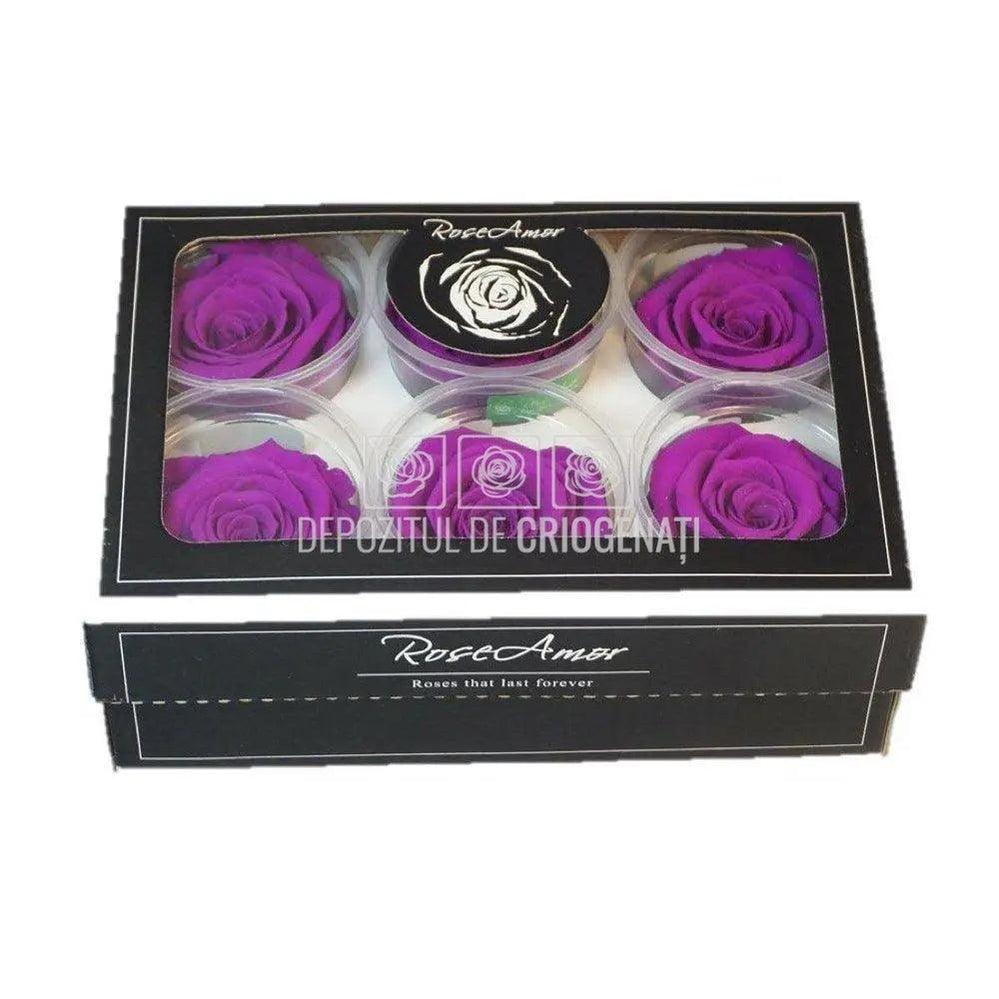 Trandafiri Criogenati XL PUR-02 (Ø6-6,5cm, set 6 buc /cutie) - DepozituldeCriogenati.ro