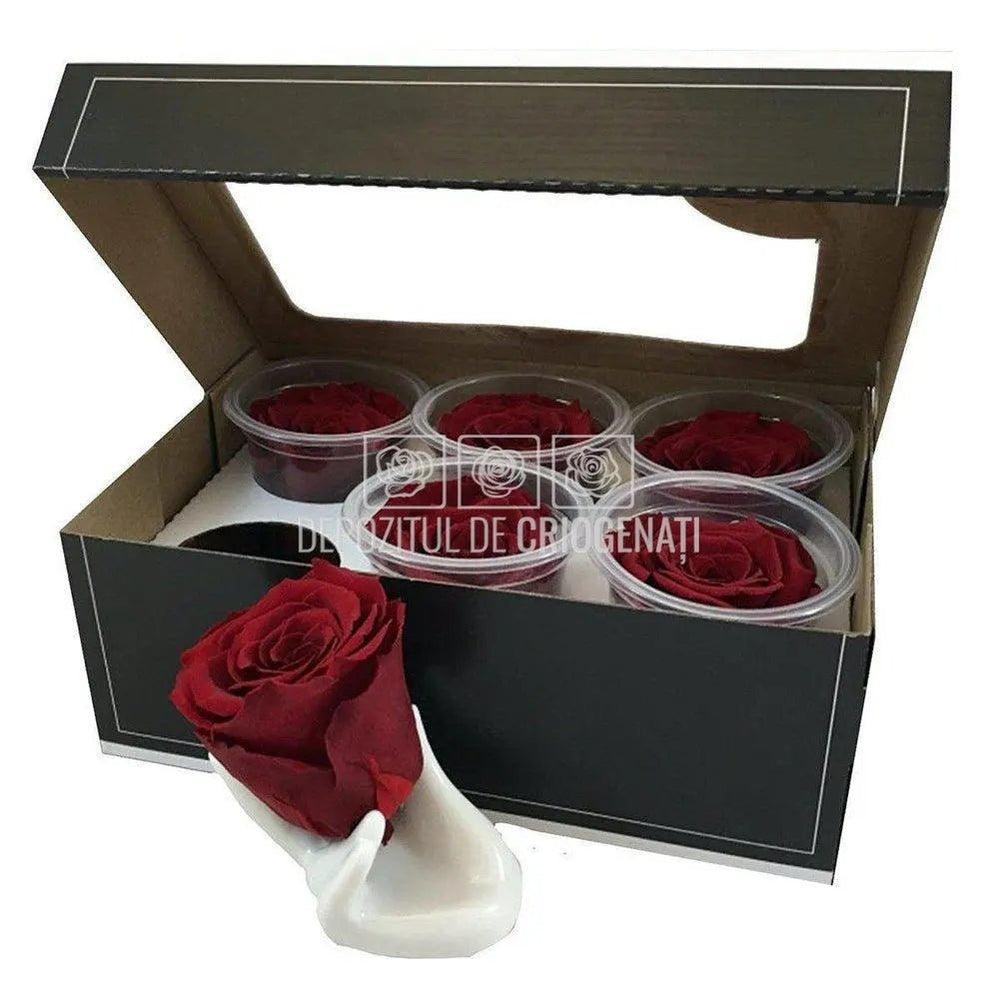 Trandafiri Criogenati XL RED - 01 (dia. 6 - 6,5cm) - Depozitul de Criogenati