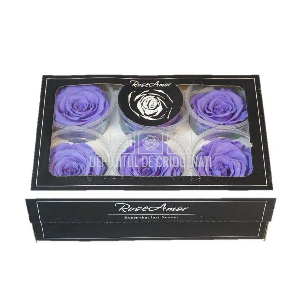 Trandafiri Criogenati XL VIO-01 (Ø6-6,5cm, set 6 buc /cutie) - DepozituldeCriogenati.ro