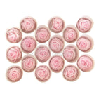 Trandafiri Criogenati XS PIN-99 (dia.3cm x h2cm) - Depozitul de Criogenati